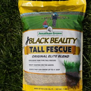 Black Beauty Tall Fescue Grass Seed (7 lb. Bag)